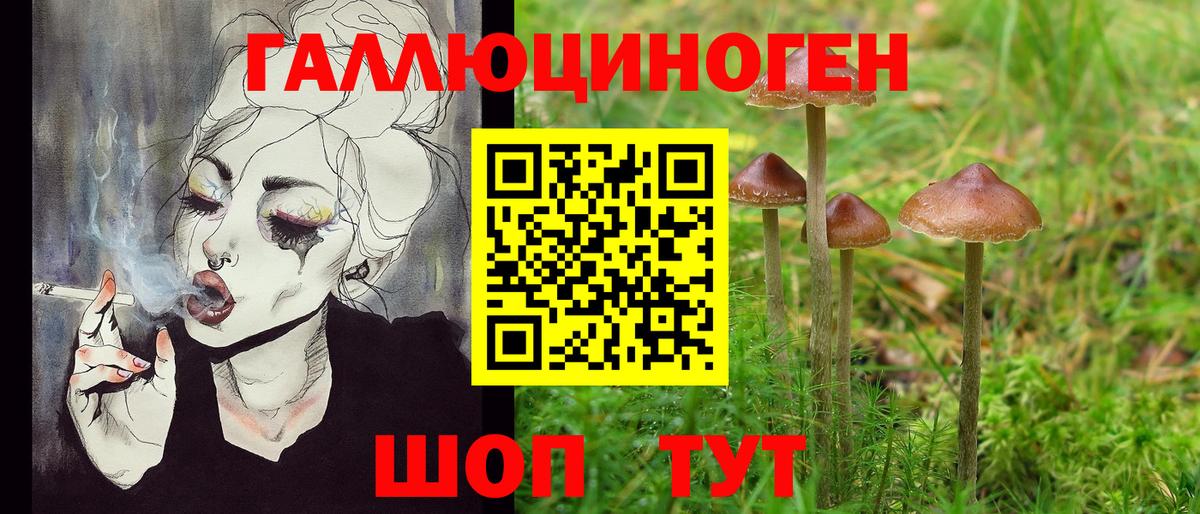 Кимовск  Псилоцибиновые грибы прущие грибы  Вход с VPN  Псилоцибиновые грибы GOLDEN TEACHER 